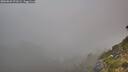./images/calvert/foggy-cove/20260822/foggy-cove20260822_071001M.jpg