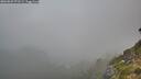 ./images/calvert/foggy-cove/20260822/foggy-cove20260822_071501M.jpg