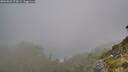 ./images/calvert/foggy-cove/20260822/foggy-cove20260822_073001M.jpg