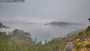 ./images/calvert/foggy-cove/20260822/foggy-cove20260822_074501M.jpg