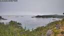 ./images/calvert/foggy-cove/20260822/foggy-cove20260822_082001M.jpg
