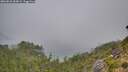 ./images/calvert/foggy-cove/20260822/foggy-cove20260822_084001M.jpg