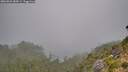 ./images/calvert/foggy-cove/20260822/foggy-cove20260822_084501M.jpg