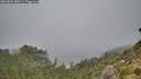 ./images/calvert/foggy-cove/20260822/foggy-cove20260822_085001M.jpg