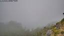 ./images/calvert/foggy-cove/20260822/foggy-cove20260822_085501M.jpg
