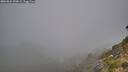 ./images/calvert/foggy-cove/20260822/foggy-cove20260822_090001M.jpg