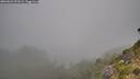 ./images/calvert/foggy-cove/20260822/foggy-cove20260822_091001M.jpg