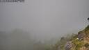 ./images/calvert/foggy-cove/20260822/foggy-cove20260822_091502M.jpg