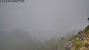 ./images/calvert/foggy-cove/20260822/foggy-cove20260822_092001M.jpg
