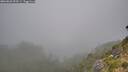 ./images/calvert/foggy-cove/20260822/foggy-cove20260822_092501M.jpg