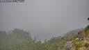 ./images/calvert/foggy-cove/20260822/foggy-cove20260822_093001M.jpg