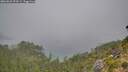 ./images/calvert/foggy-cove/20260822/foggy-cove20260822_093501M.jpg