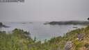 ./images/calvert/foggy-cove/20260822/foggy-cove20260822_111501M.jpg