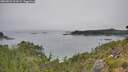 ./images/calvert/foggy-cove/20260822/foggy-cove20260822_124501M.jpg