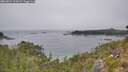 ./images/calvert/foggy-cove/20260822/foggy-cove20260822_134501M.jpg