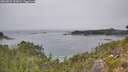 ./images/calvert/foggy-cove/20260822/foggy-cove20260822_135001M.jpg