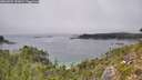 ./images/calvert/foggy-cove/20260822/foggy-cove20260822_141001M.jpg