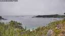 ./images/calvert/foggy-cove/20260822/foggy-cove20260822_141501M.jpg