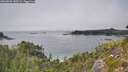 ./images/calvert/foggy-cove/20260822/foggy-cove20260822_143501M.jpg