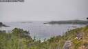 ./images/calvert/foggy-cove/20260822/foggy-cove20260822_145001M.jpg