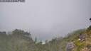 ./images/calvert/foggy-cove/20260822/foggy-cove20260822_151002M.jpg
