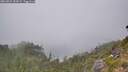 ./images/calvert/foggy-cove/20260822/foggy-cove20260822_152001M.jpg
