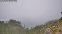 ./images/calvert/foggy-cove/20260822/foggy-cove20260822_152501M.jpg