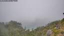 ./images/calvert/foggy-cove/20260822/foggy-cove20260822_153002M.jpg