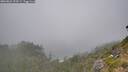 ./images/calvert/foggy-cove/20260822/foggy-cove20260822_153501M.jpg