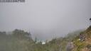 ./images/calvert/foggy-cove/20260822/foggy-cove20260822_155001M.jpg