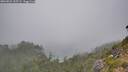 ./images/calvert/foggy-cove/20260822/foggy-cove20260822_155501M.jpg