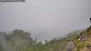 ./images/calvert/foggy-cove/20260822/foggy-cove20260822_160001M.jpg