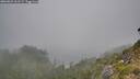 ./images/calvert/foggy-cove/20260822/foggy-cove20260822_161501M.jpg