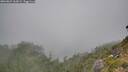./images/calvert/foggy-cove/20260822/foggy-cove20260822_162001M.jpg