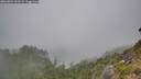 ./images/calvert/foggy-cove/20260822/foggy-cove20260822_162501M.jpg