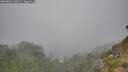 ./images/calvert/foggy-cove/20260822/foggy-cove20260822_163501M.jpg