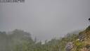 ./images/calvert/foggy-cove/20260822/foggy-cove20260822_164001M.jpg