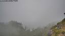 ./images/calvert/foggy-cove/20260822/foggy-cove20260822_164501M.jpg