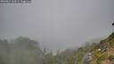 ./images/calvert/foggy-cove/20260822/foggy-cove20260822_165002M.jpg