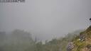 ./images/calvert/foggy-cove/20260822/foggy-cove20260822_165501M.jpg