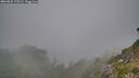 ./images/calvert/foggy-cove/20260822/foggy-cove20260822_170501M.jpg