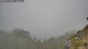 ./images/calvert/foggy-cove/20260822/foggy-cove20260822_171001M.jpg