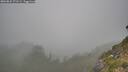./images/calvert/foggy-cove/20260822/foggy-cove20260822_171501M.jpg