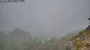 ./images/calvert/foggy-cove/20260822/foggy-cove20260822_172501M.jpg