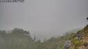 ./images/calvert/foggy-cove/20260822/foggy-cove20260822_173001M.jpg