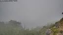 ./images/calvert/foggy-cove/20260822/foggy-cove20260822_173501M.jpg