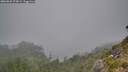 ./images/calvert/foggy-cove/20260822/foggy-cove20260822_175001M.jpg