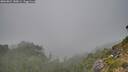./images/calvert/foggy-cove/20260822/foggy-cove20260822_180001M.jpg