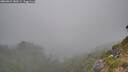 ./images/calvert/foggy-cove/20260822/foggy-cove20260822_180501M.jpg