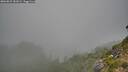 ./images/calvert/foggy-cove/20260822/foggy-cove20260822_181001M.jpg